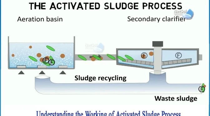 ASP Process Image