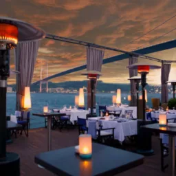 ETP Plant for hotel blog cover image