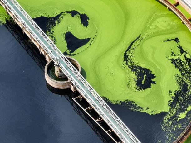 Sewage Treatment