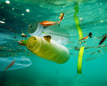 Water Pollution Image