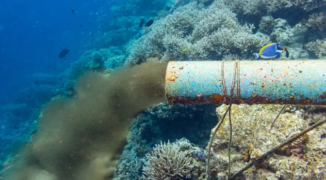 Marine Dumping
